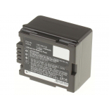 Аккумуляторные батареи для фотоаппаратов и видеокамер Panasonic VDR-D50Емкость (mAh): 1320. Напряжение (V): 7,4
