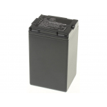 Аккумуляторная батарея CGA-DU14A для фотоаппаратов и видеокамер Hitachi. Артикул iB-F361.Емкость (mAh): 3100. Напряжение (V): 7,4