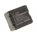 Аккумуляторные батареи для фотоаппаратов и видеокамер Panasonic PV-GS85Емкость (mAh): 750. Напряжение (V): 7,4