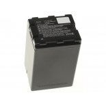 Аккумуляторные батареи для фотоаппаратов и видеокамер Panasonic HDC-HS900GKЕмкость (mAh): 3300. Напряжение (V): 7,4